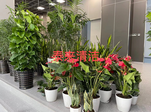 1630026989138463.png image.png